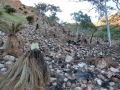 East Kimberley Region in the north East of Western Australia after seasonal bush fires have devastated the area.