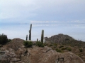 Isla del Pescado or Incahuasi island, in the Salar de Uyuni, Potosi, Bolivia