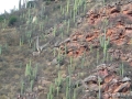 Valles Calchaquies, Salta.