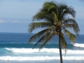 Habitat and surfers at Hookipa, Maui, Hawaii (USA). October 17, 2006.